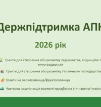 676270072_122107902092816767_7506715800272782268_n