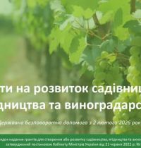 676779989_122107902098816767_4697421110389314132_n