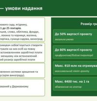 678433798_122107902116816767_5160547392626334616_n